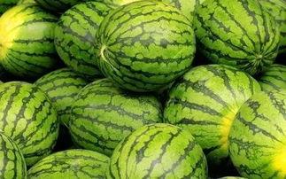 大哪吃瓜网,网络舆论风向标背后的故事