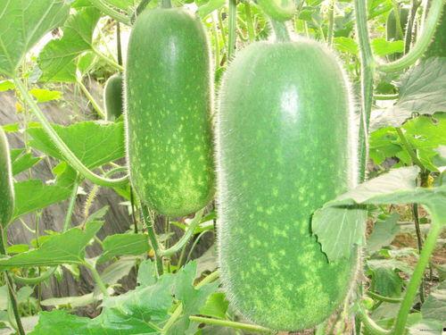 超帅网红吃瓜图片大全,超帅瞬间，图鉴娱乐圈新鲜事