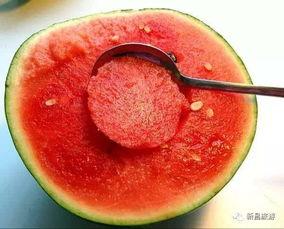 51cg1吃瓜群众网朝阳的热心群,51cg1吃瓜群众网里的社区活力展现