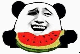 网红吃瓜群众免费吃瓜,揭秘娱乐圈幕后风云