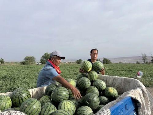 19年网络吃瓜事件,盘点那些年我们热议的“瓜”