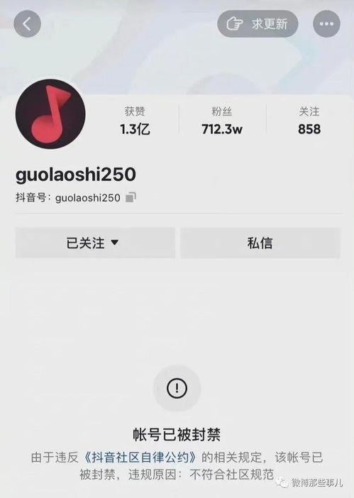 吃瓜圈170万网红,揭秘170万粉丝网红的崛起之路