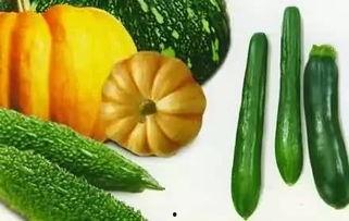 浚县网红吃瓜详情