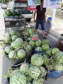 连云港网红吃瓜事件