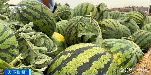 菏泽曹县网红吃瓜